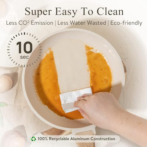 Best Pan For Omelets