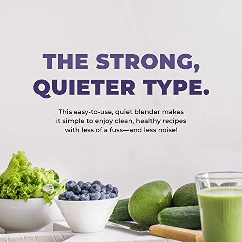 The Best Commercial Blender