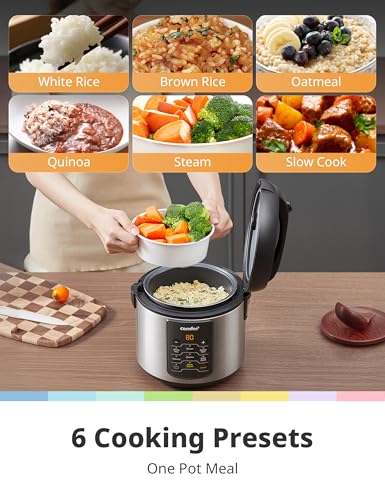 Best Small Multi Cooker